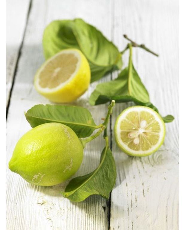 Crème au citron vert Recettes Elle à Table Creme au citron vert