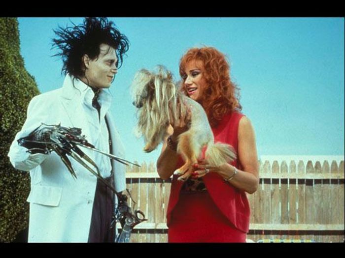 Edward aux mains d'argent L’univers extraordinaire de Tim Burton Elle Edward aux mains d'argent L’univers extraordinaire de Tim Burton Elle