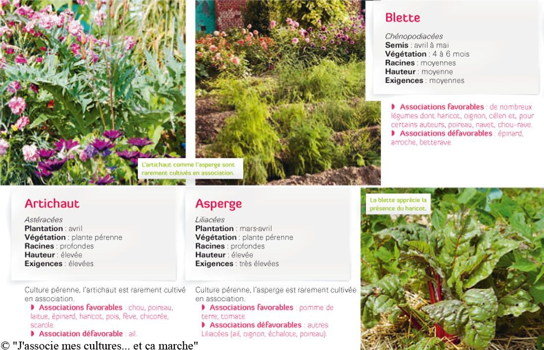 Comment réaliser un petit potager ? - Elle Décoration