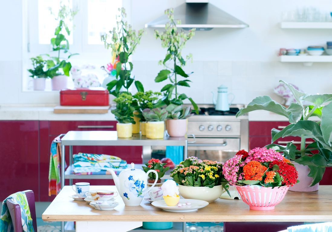 Comment entretenir un Kalanchoé ? - Elle Décoration