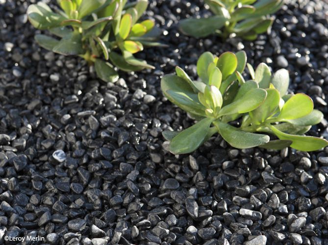 Jardin Zen Visez La Plenitude Elle Decoration
