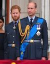 Crise à Buckingham : le prince William abandonne le prince Harry