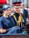 Meghan Markle et le prince Harry : ce détail qui agace fortement les Anglais