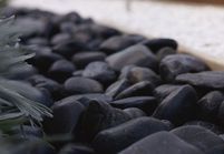 Un beau gravier pour mon jardin exotique