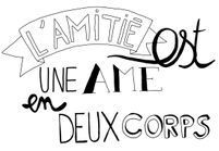 Citation Amour Les Plus Belles Citations D Amour Elle