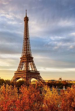 Que faire à Paris ce week-end du 30, 31 octobre et 1er novembre 2026 ?