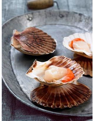 Saint Jacques Et Fondue De Poireaux Pour 4 Personnes Recettes