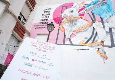 The Body Shop et Dove s'associent pour garantir des cosmétiques sans cruauté animale