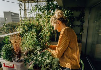 8 astuces pour avoir un balcon nourricier en permaculture