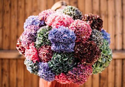 Comment composer un bouquet avec des hortensias séchés ?