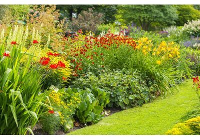 Congés et vacances d'été, entretenir les plantes