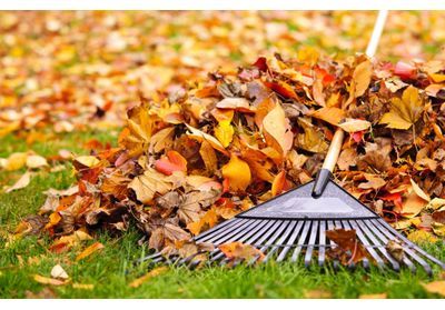 En automne, que faire des feuilles mortes ?