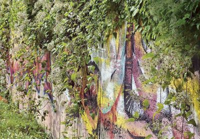 Jardins sauvages : 4 conseils du paysagiste Eric Lenoir pour créer son jardin « punk »