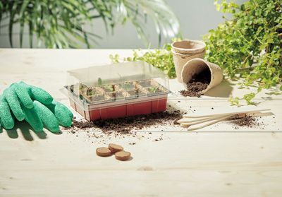 Des kits de plantation pour jardiner même sans extérieur