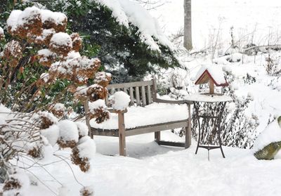 Que faire après des chutes de neige au jardin ?