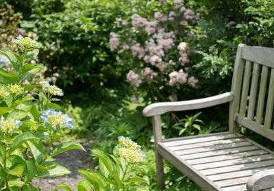 Quelles plantes choisir pour un jardin romantique ?