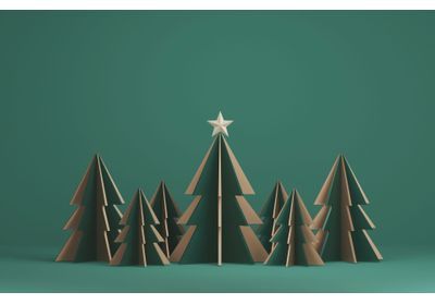 A quelle date faire son sapin de Noël ?