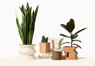 #ELLEDécoCrush : les plantes et pots arty By Charlot