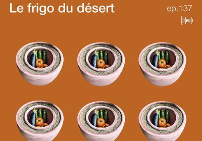 Où est le beau ? Le frigo du désert, qu'est-ce que c'est ?