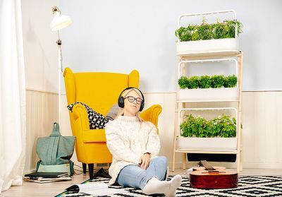 Les meilleurs potagers d'intérieur à installer chez soi