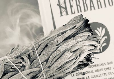 Smudge stick : pourquoi et comment utiliser un bâton de fumigation