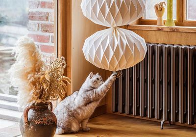 Déco : réenchanter sa maison sans se ruiner