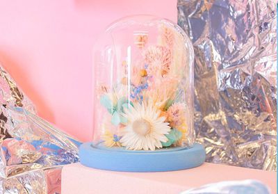 Fleurs séchées sous cloche, la tendance déco qu'il nous faut