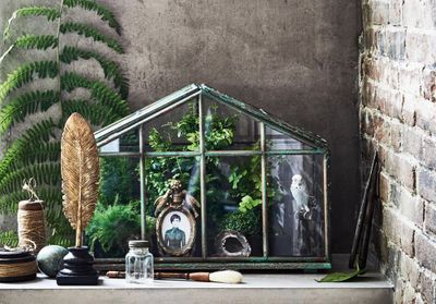 Jardin d'hiver : n'en rêvez plus, créez-le !