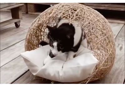 DIY/: faire un panier pour chat avec un ballon