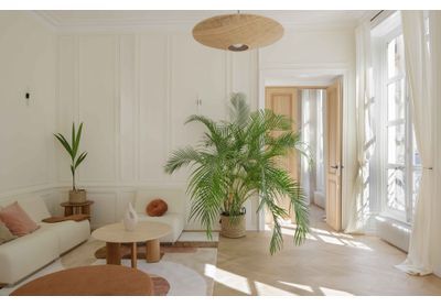 Le joli réveil d'un appartement sans âme