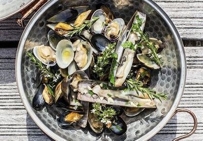 Carnet de 45 recettes de vacances