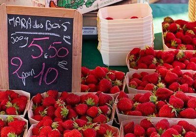 Reportage en Normandie, au pays des fraises de pleine terre