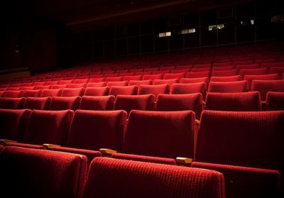 Cinémas : la dernière séance ?