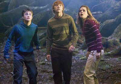Harry Potter de retour en série : la nouvelle divise les fans