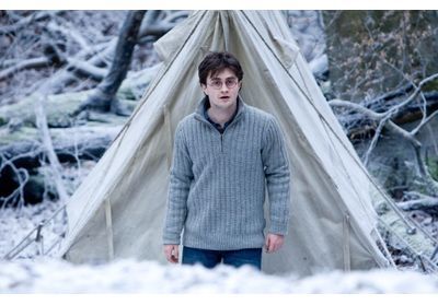 Harry Potter : on fait le point sur les projets de suites de la Warner