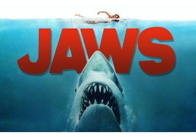 « Les Dents de la mer » : le film est-il responsable du déclin des requins ?