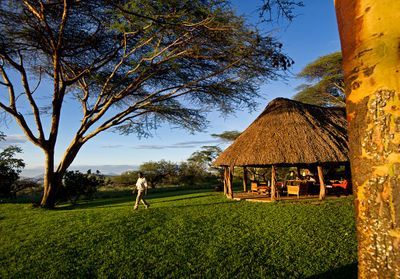 Kenya : entre forêts tropicales et paradis perdus