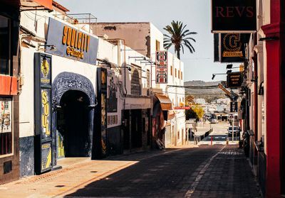 Reportage : une saison pas comme les autres à Ibiza