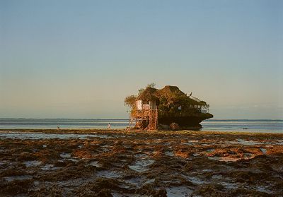 Zanzibar : on largue les amares sur cet archipel paradisiaque