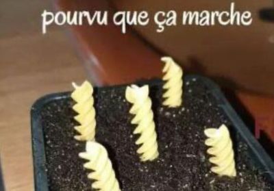 Confinés, les internautes français luttent contre la morosité à coup de memes sur les réseaux sociaux