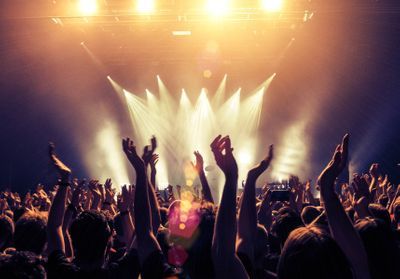 Vieilles Charrues, Rock en Seine, Hellfest : les festivals de musique seront-ils maintenus cet été ?