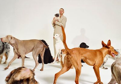 « Musique de niche », un album pour... les chiens