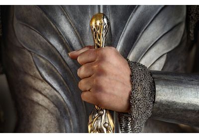« Le Seigneur des Anneaux » pour les nuls