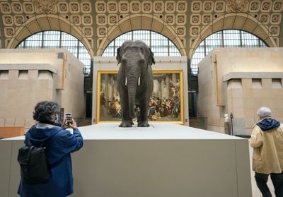 « Les origines du monde », nouveau regard sur la nature au Musée d'Orsay