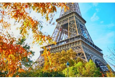 Que faire à Paris le week-end du 11, 12 et 13 novembre ?