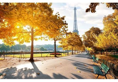 Que faire à Paris le week-end du 4, 5 et 6 novembre ?