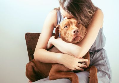 Comme les humains, les chiens feraient l'expérience du deuil