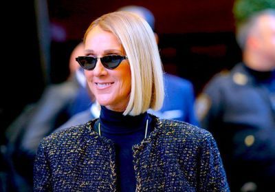 Céline Dion : sublime en jupe en tulle Dior