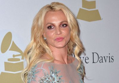 Britney Spears : ses deux fils ont bien grandi