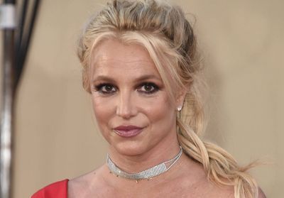 Britney Spears sous tutelle : ses fans se battent pour sa liberté
